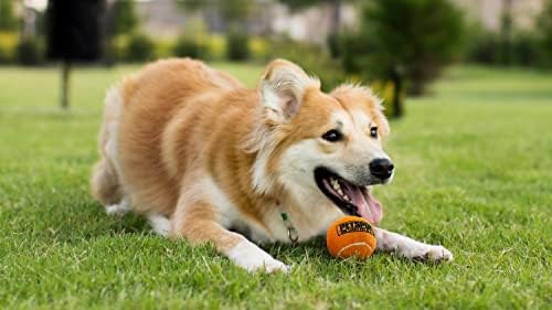PetSport Turuncu Tenis Topu Köpek Oyuncakları / 12 Paket Küçük (1.8) Pet Güvenli Keçe ve Kauçuk Toplar Taşıma Çantası
