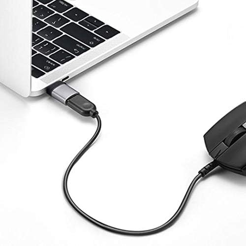 Bang & Olufsen Beosound A1 (2. Nesil) ile Uyumlu BoxWave Kablosu (BoxWave Kablosu) - USB-C'den Port Değiştiriciye(
