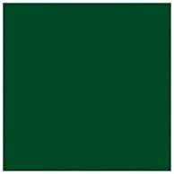 Rosco Roscolux Koyu Sarı Yeşil, 20x24 Renk Efektleri Aydınlatma Filtresi