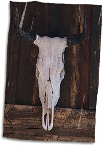 3dRose ABD, Arizona. Hayalet Kasabadaki dükkan duvarındaki kafatası. - Havlular (twl-189464-3)