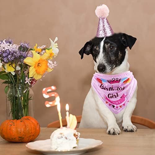 GAGİLAND Köpek Doğum Günü Bandana Şapka Afiş Seti Orta ve Büyük Köpekler için Sevimli papyon Eşarp Köpek Erkek Kız