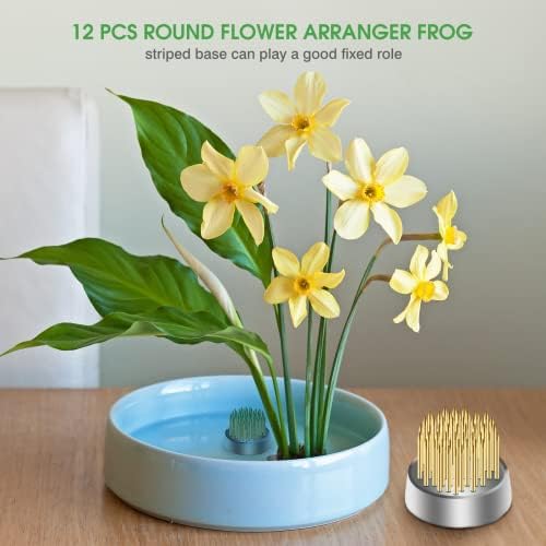 12 Adet Kenzan İkebana Çiçek Kurbağalar, japon Mini Kenzan Pin Kurbağa 23mm / 0.9 inç Çaplı Çiçek İkebana çiçek aranjörü