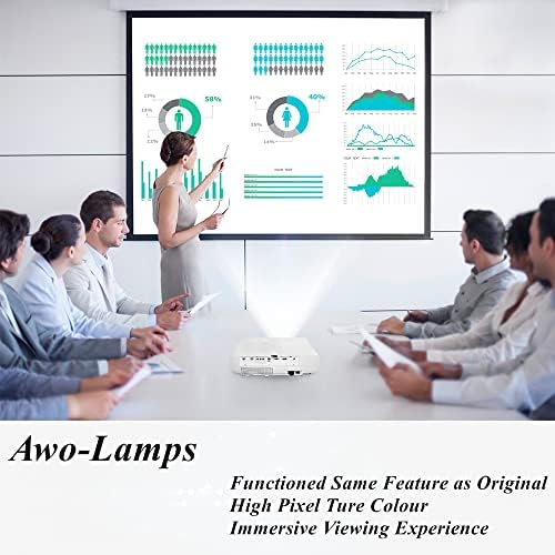 AWO VıewSonıc için Konut ile Orijinal Projektör Lambası Ampul RLC-107 PS700W, PS700X, PS750HD, PS750W, PS750X, PX800HD